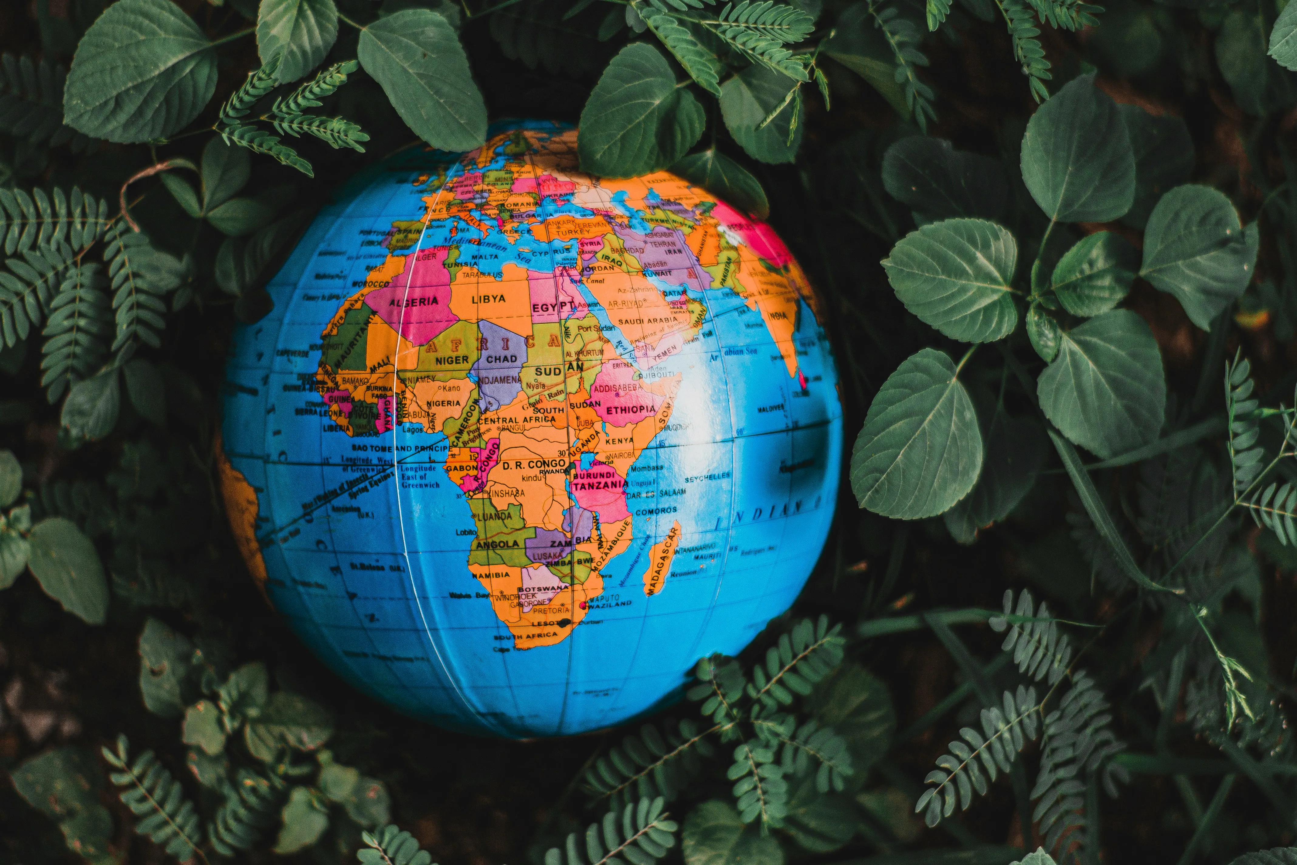 Freedom of Travel: Why a Budget Global eSIM is Your Ultimate Travel Companion