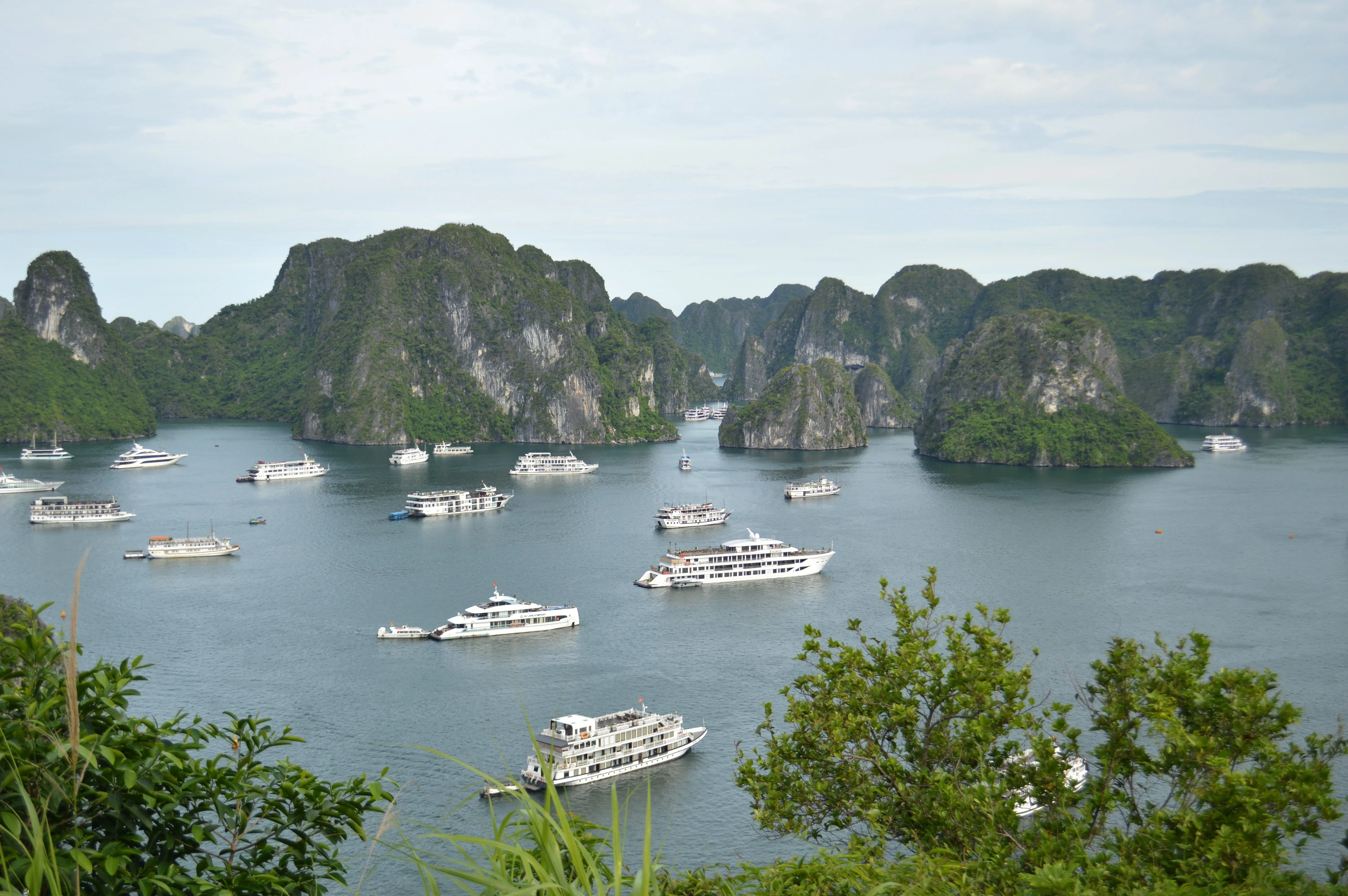 Best Travel eSIM for Vietnam 2026: Top Data Plans for Digital Nomads