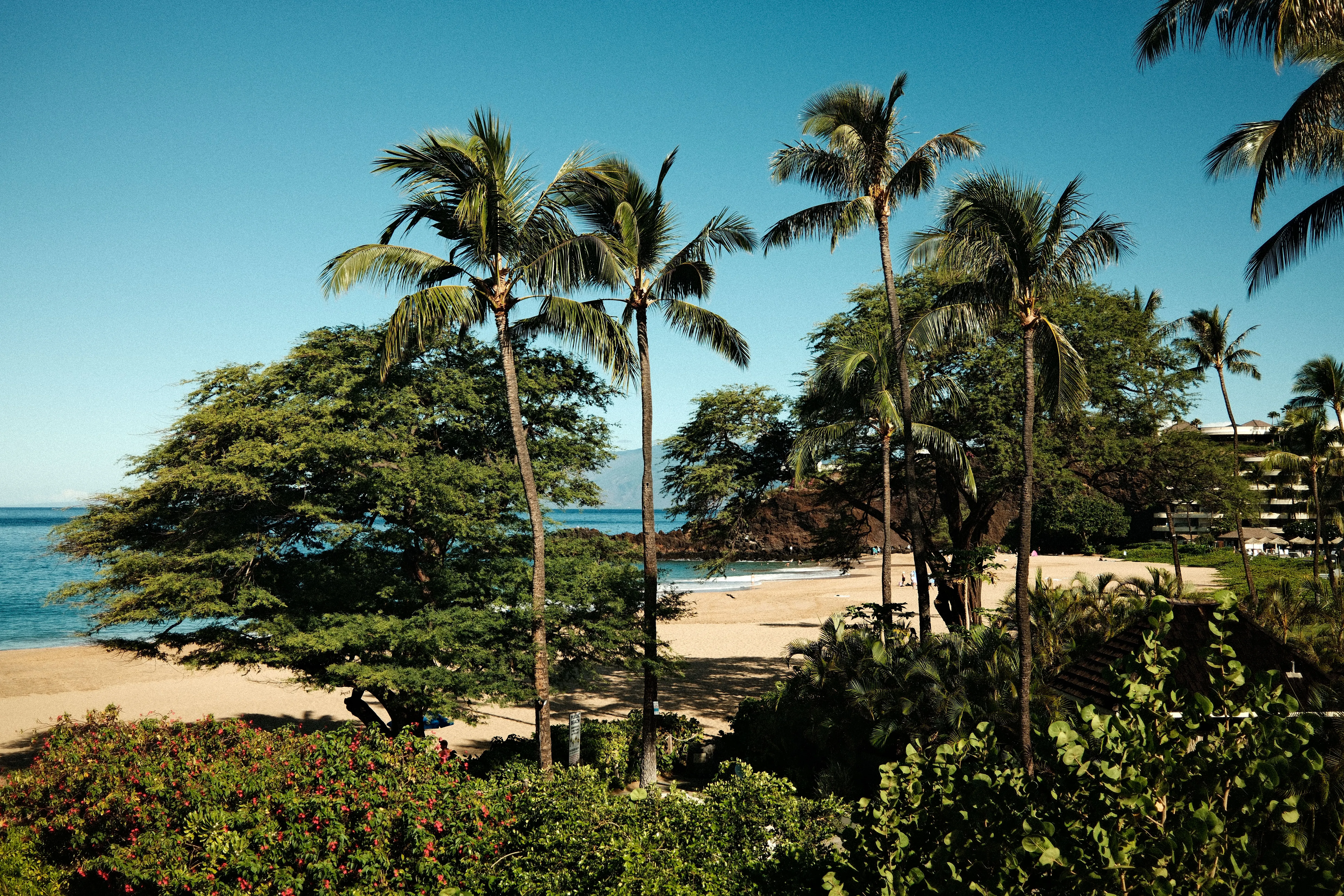 Best Travel eSIM for Hawaii 2026: Top Rated Data Plans for Honolulu & Maui